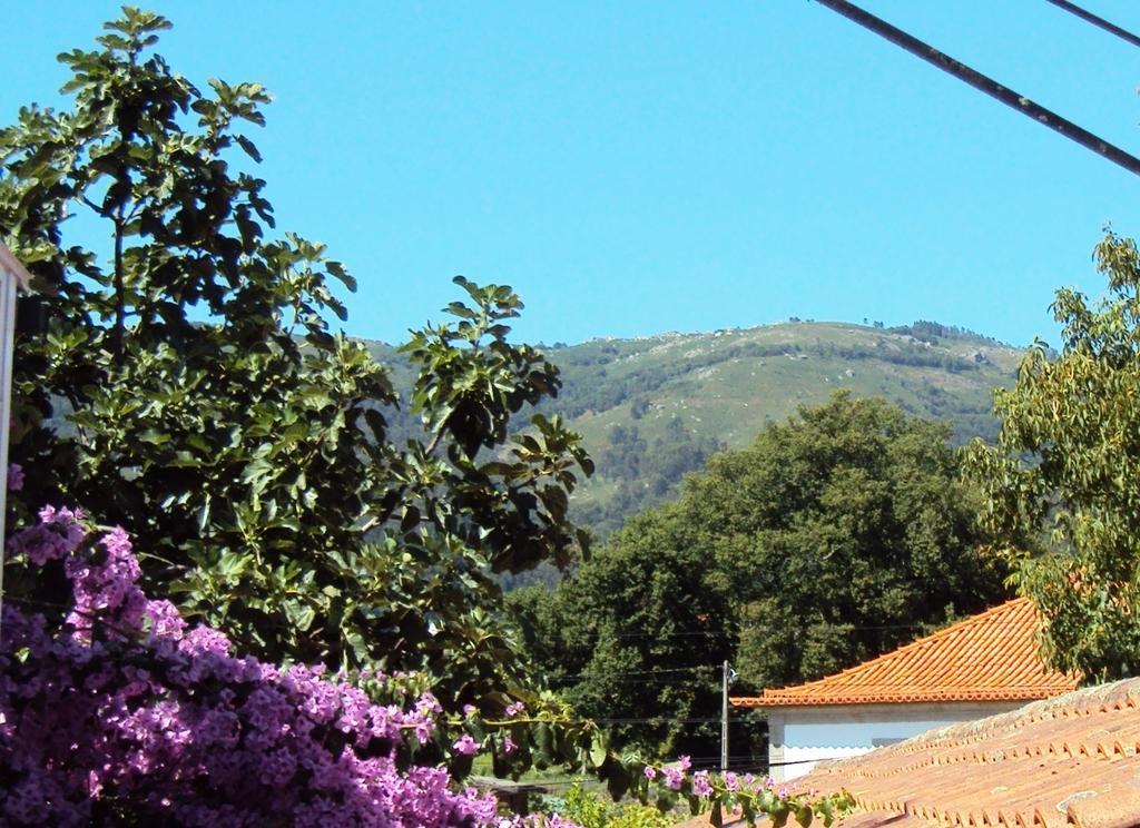 Casa Do Mosteiro De Refoios Do Lima Ponte de Lima Kamer foto